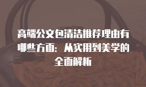 高端公文包清洁推荐理由有哪些方面：从实用到美学的全面解析