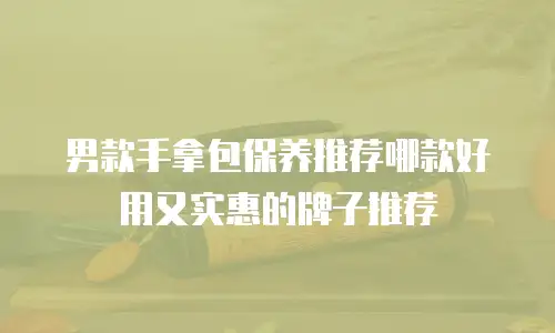 男款手拿包保养推荐哪款好用又实惠的牌子推荐