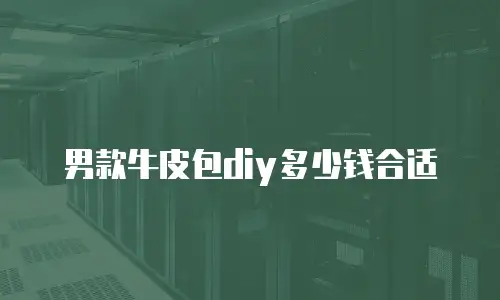 男款牛皮包diy多少钱合适