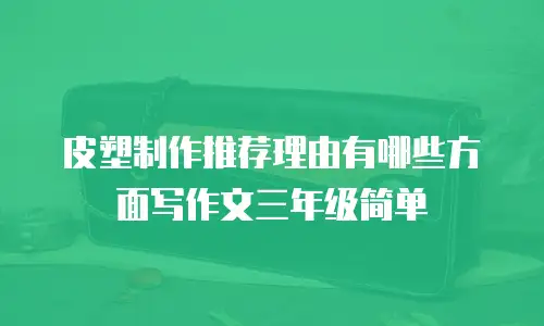 皮塑制作推荐理由有哪些方面写作文三年级简单