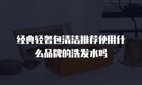经典轻奢包清洁推荐使用什么品牌的洗发水吗