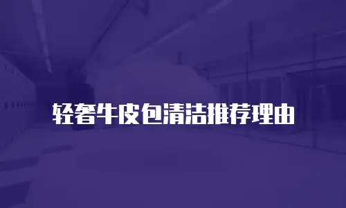 轻奢牛皮包清洁推荐理由