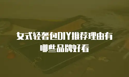 女式轻奢包DIY推荐理由有哪些品牌好看