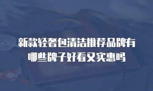 新款轻奢包清洁推荐品牌有哪些牌子好看又实惠吗