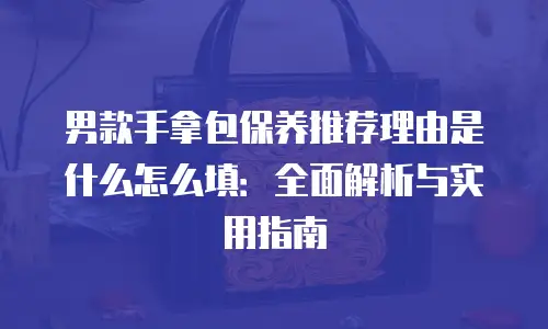 男款手拿包保养推荐理由是什么怎么填：全面解析与实用指南