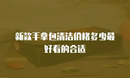 新款手拿包清洁价格多少最好看的合适
