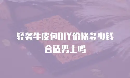 轻奢牛皮包DIY价格多少钱合适男士吗