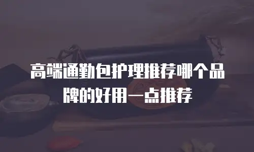 高端通勤包护理推荐哪个品牌的好用一点推荐