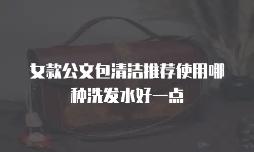 女款公文包清洁推荐使用哪种洗发水好一点