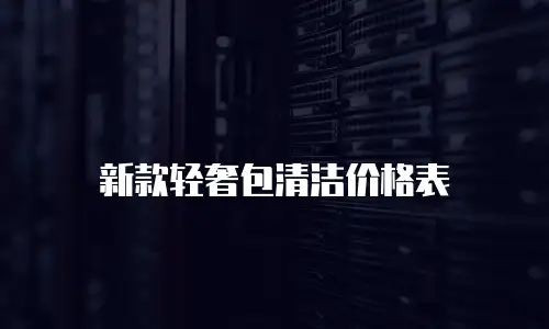 新款轻奢包清洁价格表