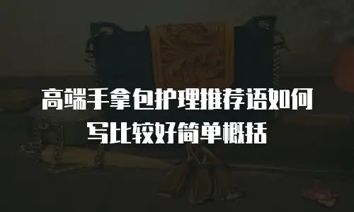 高端手拿包护理推荐语如何写比较好简单概括