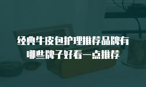 经典牛皮包护理推荐品牌有哪些牌子好看一点推荐