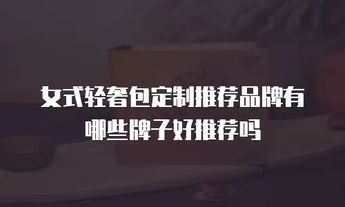 女式轻奢包定制推荐品牌有哪些牌子好推荐吗