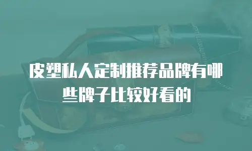 皮塑私人定制推荐品牌有哪些牌子比较好看的