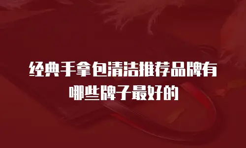 经典手拿包清洁推荐品牌有哪些牌子最好的