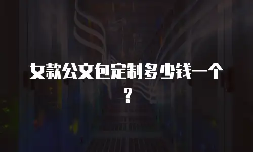 女款公文包定制多少钱一个？
