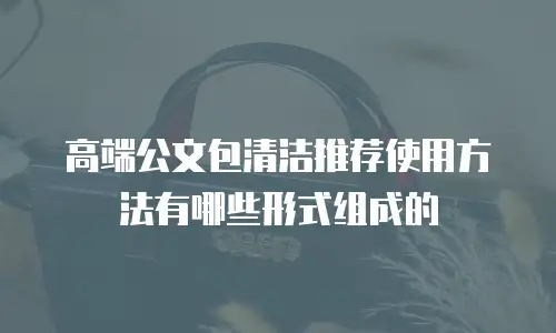 高端公文包清洁推荐使用方法有哪些形式组成的