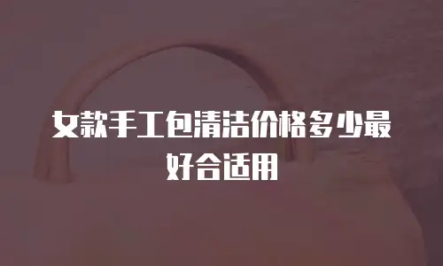 女款手工包清洁价格多少最好合适用
