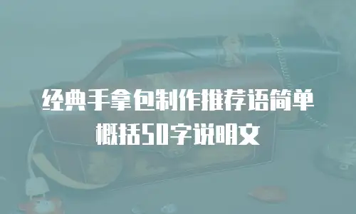 经典手拿包制作推荐语简单概括50字说明文