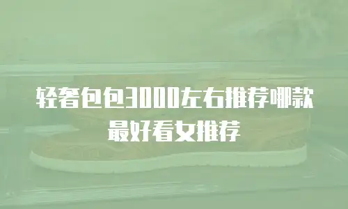 轻奢包包3000左右推荐哪款最好看女推荐