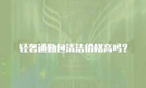轻奢通勤包清洁价格高吗？