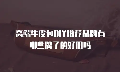 高端牛皮包DIY推荐品牌有哪些牌子的好用吗