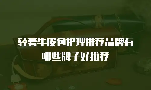 轻奢牛皮包护理推荐品牌有哪些牌子好推荐
