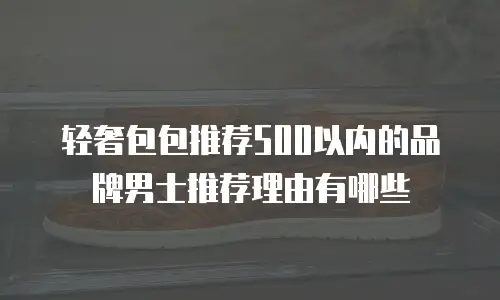 轻奢包包推荐500以内的品牌男士推荐理由有哪些
