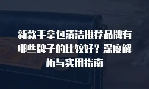 新款手拿包清洁推荐品牌有哪些牌子的比较好？深度解析与实用指南
