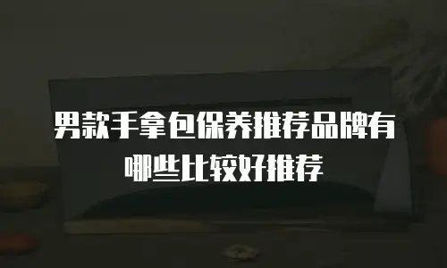 男款手拿包保养推荐品牌有哪些比较好推荐