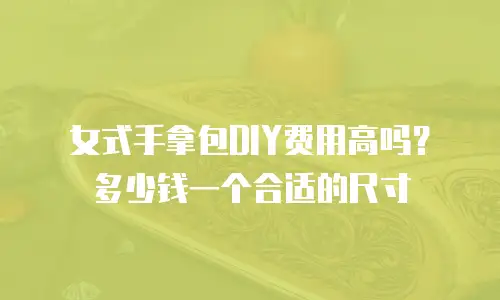 女式手拿包DIY费用高吗？多少钱一个合适的尺寸