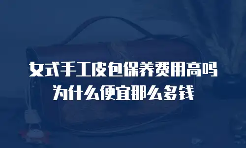 女式手工皮包保养费用高吗为什么便宜那么多钱