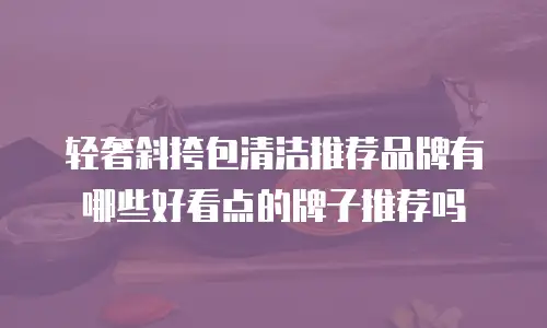 轻奢斜挎包清洁推荐品牌有哪些好看点的牌子推荐吗