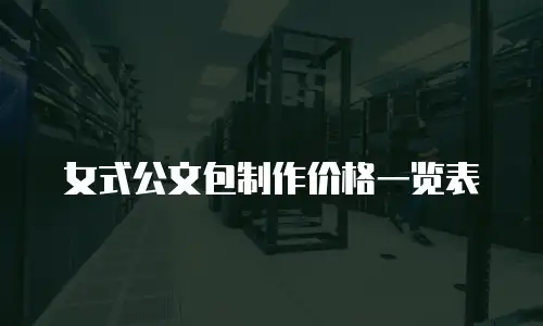 女式公文包制作价格一览表
