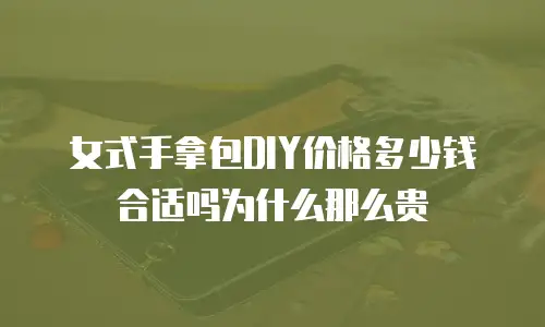 女式手拿包DIY价格多少钱合适吗为什么那么贵
