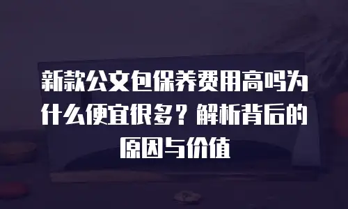 新款公文包保养费用高吗为什么便宜很多？解析背后的原因与价值