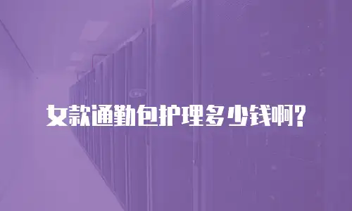 女款通勤包护理多少钱啊?