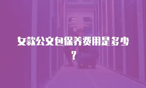 女款公文包保养费用是多少？