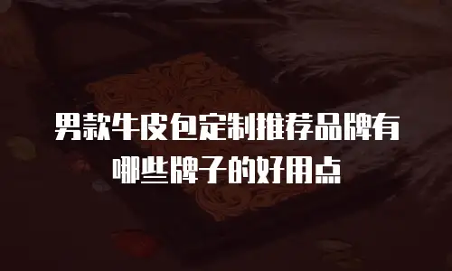 男款牛皮包定制推荐品牌有哪些牌子的好用点