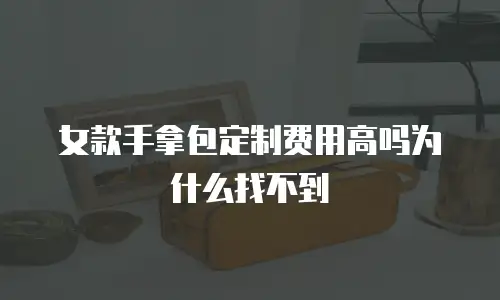 女款手拿包定制费用高吗为什么找不到