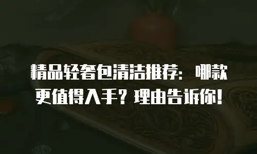 精品轻奢包清洁推荐：哪款更值得入手？理由告诉你！