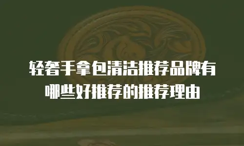 轻奢手拿包清洁推荐品牌有哪些好推荐的推荐理由