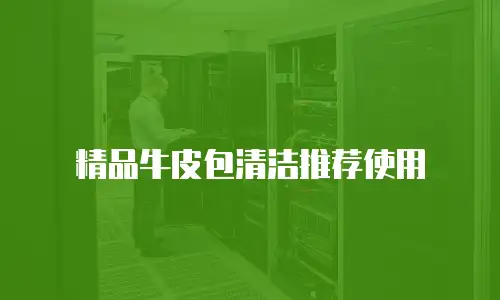 精品牛皮包清洁推荐使用