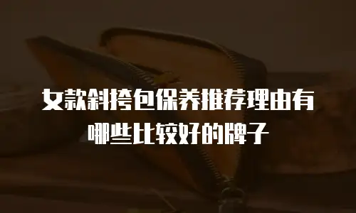 女款斜挎包保养推荐理由有哪些比较好的牌子
