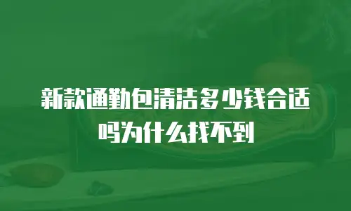 新款通勤包清洁多少钱合适吗为什么找不到
