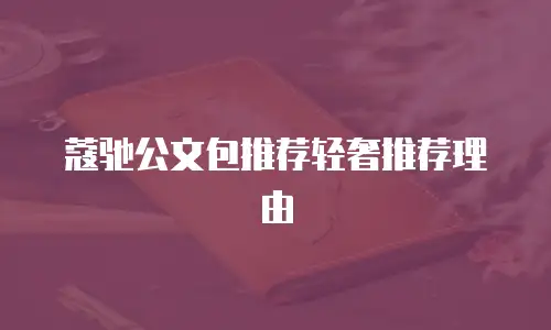蔻驰公文包推荐轻奢推荐理由