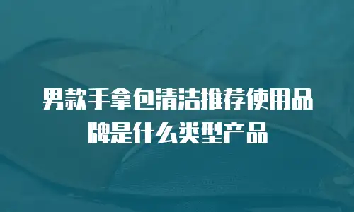 男款手拿包清洁推荐使用品牌是什么类型产品