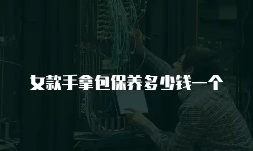 女款手拿包保养多少钱一个