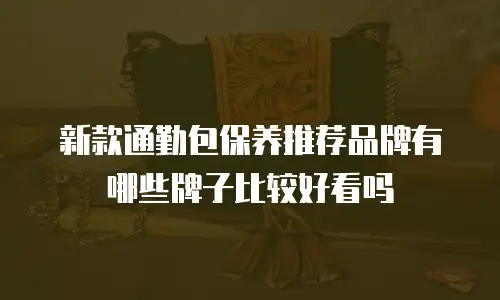 新款通勤包保养推荐品牌有哪些牌子比较好看吗