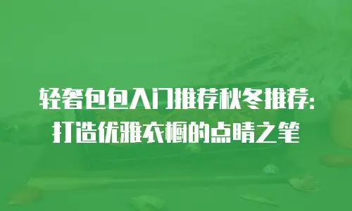 轻奢包包入门推荐秋冬推荐：打造优雅衣橱的点睛之笔